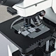 Trinocular Biological Microscope