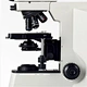Trinocular Biological Microscope